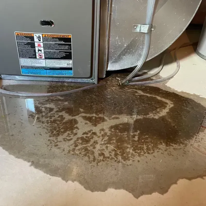 Appliance Leak Cleanup in Stratmoor, CO